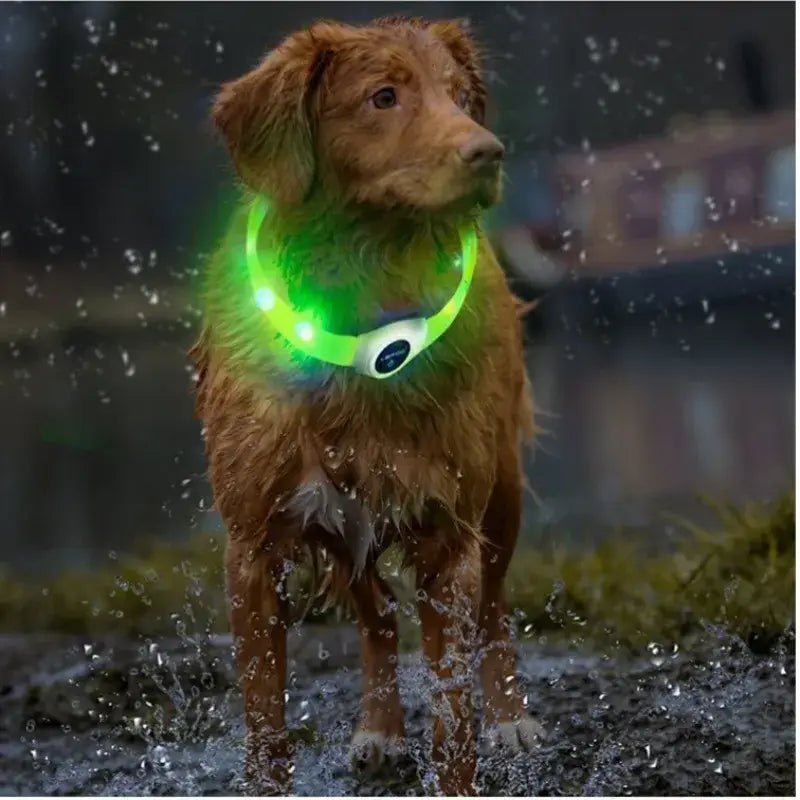 New Led Luminous Dog Collar PVC Waterproof For Large Medium Small Dogs Collar Usb Light Night Safety Pet Glowing