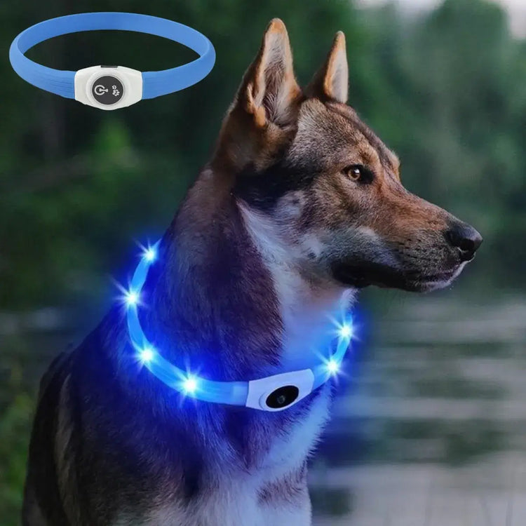 New Led Luminous Dog Collar PVC Waterproof For Large Medium Small Dogs Collar Usb Light Night Safety Pet Glowing