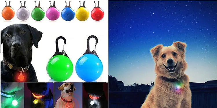New Led Luminous Dog Collar PVC Waterproof For Large Medium Small Dogs Collar Usb Light Night Safety Pet Glowing