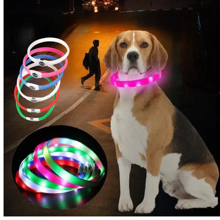 New Led Luminous Dog Collar PVC Waterproof For Large Medium Small Dogs Collar Usb Light Night Safety Pet Glowing