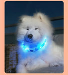 New Led Luminous Dog Collar PVC Waterproof For Large Medium Small Dogs Collar Usb Light Night Safety Pet Glowing