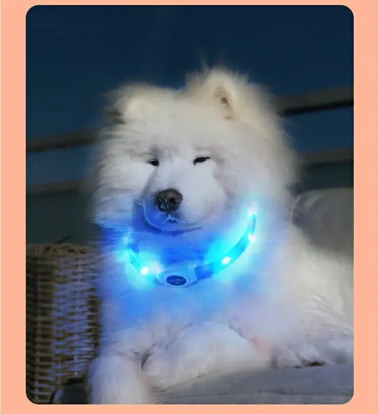 New Led Luminous Dog Collar PVC Waterproof For Large Medium Small Dogs Collar Usb Light Night Safety Pet Glowing