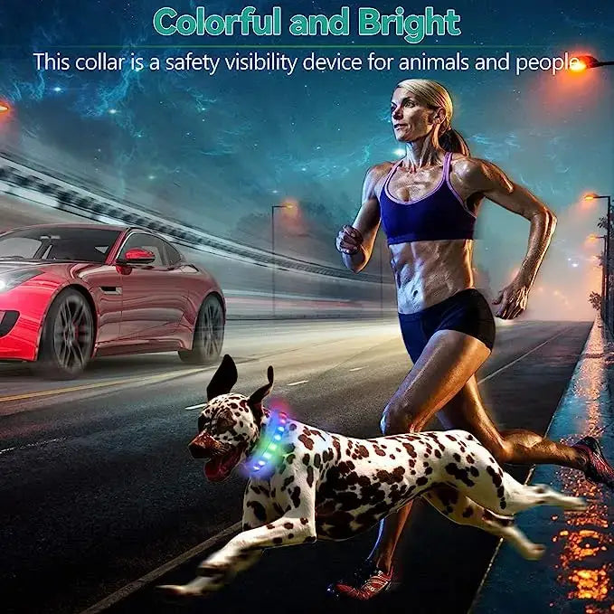 New Led Luminous Dog Collar PVC Waterproof For Large Medium Small Dogs Collar Usb Light Night Safety Pet Glowing