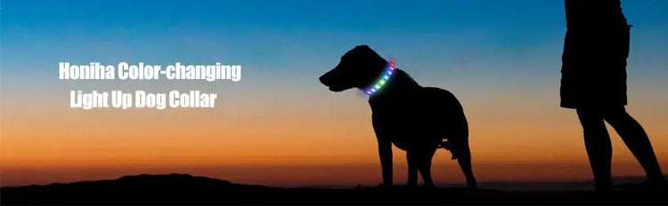 New Led Luminous Dog Collar PVC Waterproof For Large Medium Small Dogs Collar Usb Light Night Safety Pet Glowing
