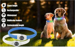 New Led Luminous Dog Collar PVC Waterproof For Large Medium Small Dogs Collar Usb Light Night Safety Pet Glowing
