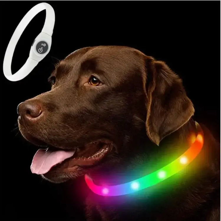 New Led Luminous Dog Collar PVC Waterproof For Large Medium Small Dogs Collar Usb Light Night Safety Pet Glowing