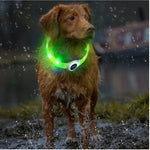 New Led Luminous Dog Collar PVC Waterproof For Large Medium Small Dogs Collar Usb Light Night Safety Pet Glowing