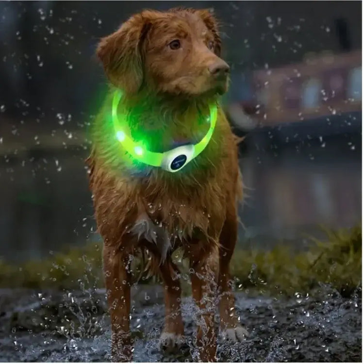 New Led Luminous Dog Collar PVC Waterproof For Large Medium Small Dogs Collar Usb Light Night Safety Pet Glowing