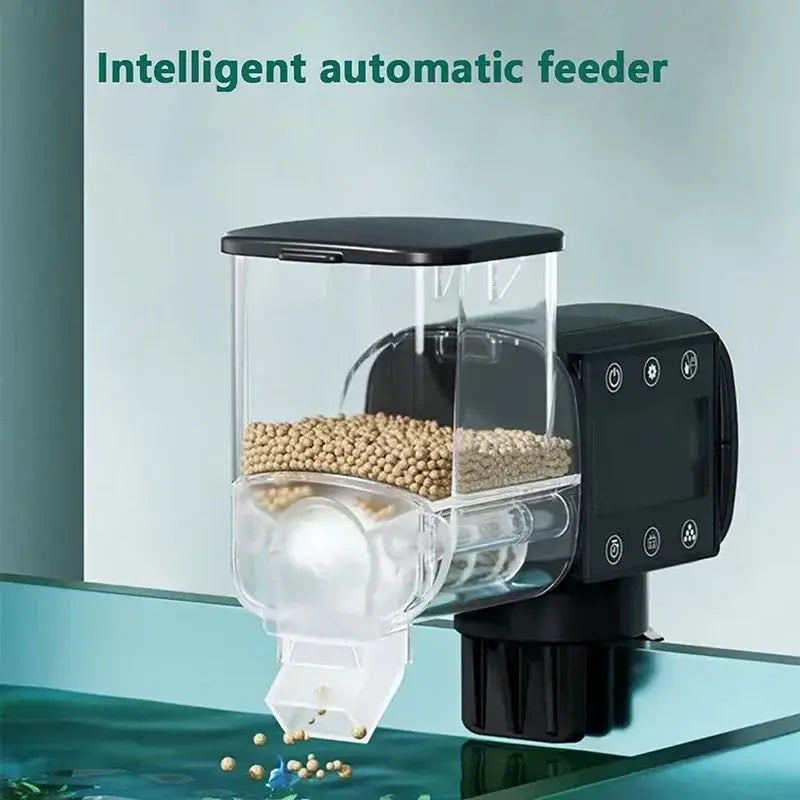 Nourrir les poissons d’aquarium