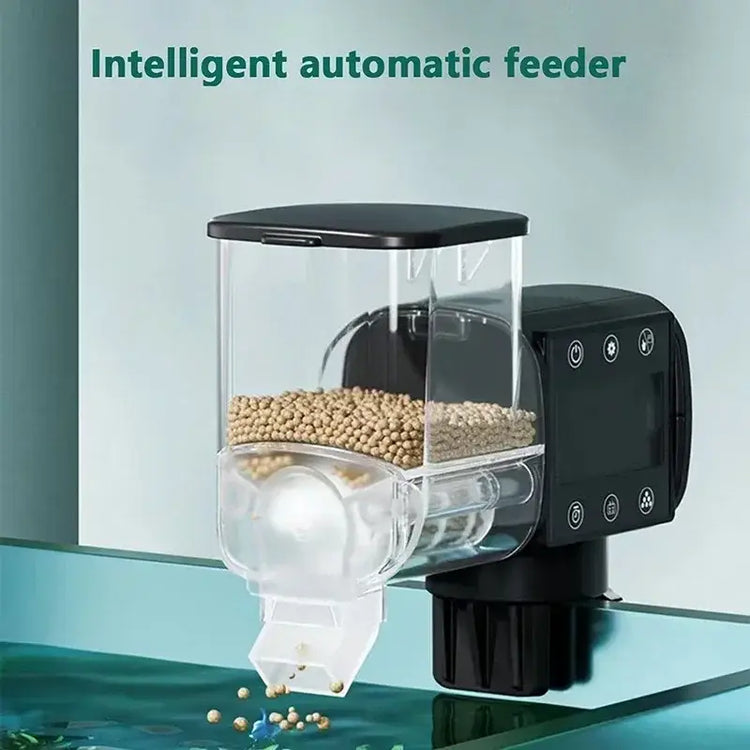 Nourrir les poissons d’aquarium