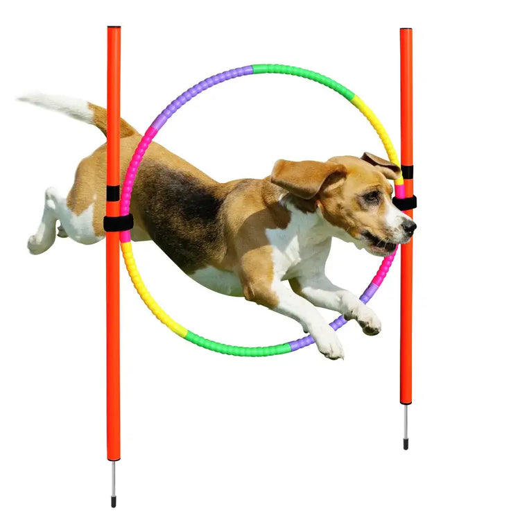 Outdoor Dog Obstacle Training Set Pet Agility Equipment Jumping Set Dog Training Accessories Dog Obstacle Course Pet