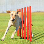 Outdoor Dog Obstacle Training Set Pet Agility Equipment Jumping Set Dog Training Accessories Dog Obstacle Course Pet
