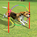 Outdoor Dog Obstacle Training Set Pet Agility Equipment Jumping Set Dog Training Accessories Dog Obstacle Course Pet