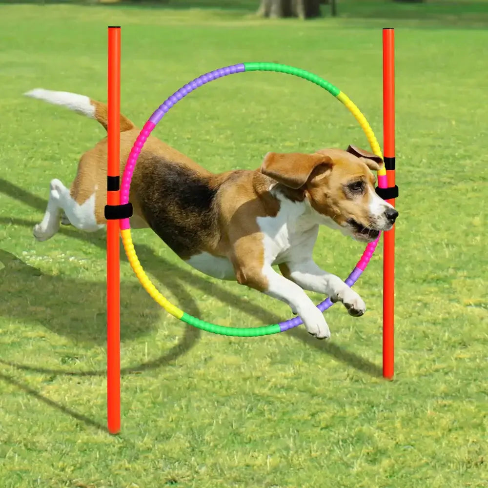 Outdoor Dog Obstacle Training Set Pet Agility Equipment Jumping Set Dog Training Accessories Dog Obstacle Course Pet