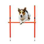 Outdoor Dog Obstacle Training Set Pet Agility Equipment Jumping Set Dog Training Accessories Dog Obstacle Course Pet