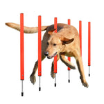 Outdoor Dog Obstacle Training Set Pet Agility Equipment Jumping Set Dog Training Accessories Dog Obstacle Course Pet