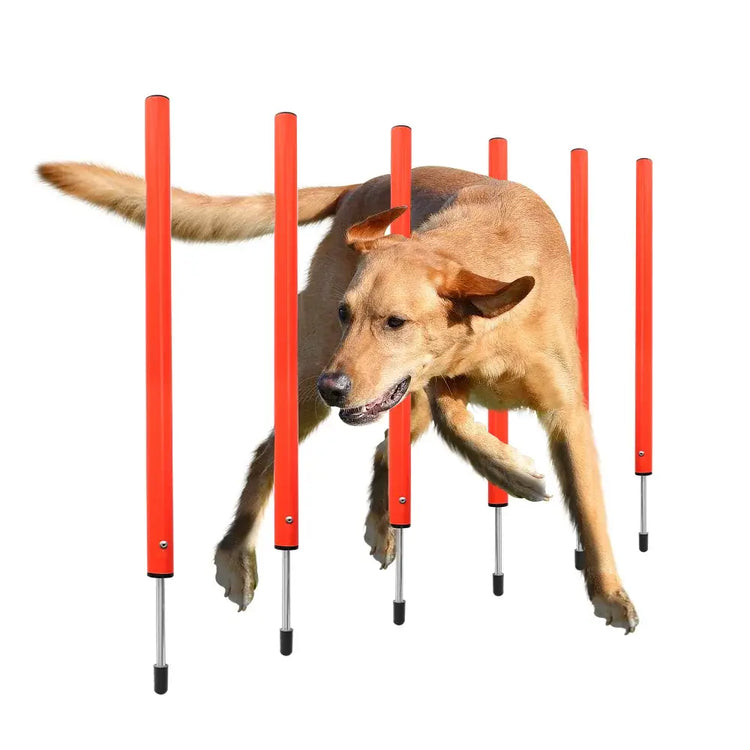Outdoor Dog Obstacle Training Set Pet Agility Equipment Jumping Set Dog Training Accessories Dog Obstacle Course Pet