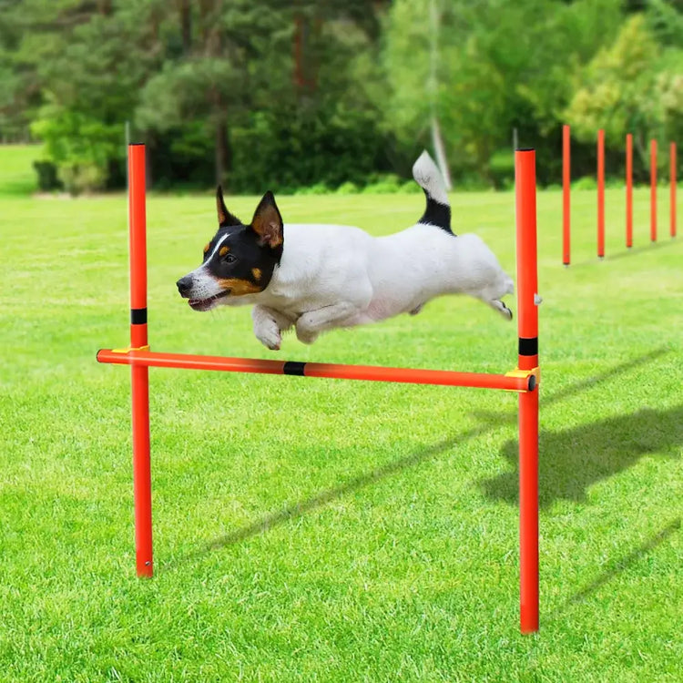 Outdoor Dog Obstacle Training Set Pet Agility Equipment Jumping Set Dog Training Accessories Dog Obstacle Course Pet