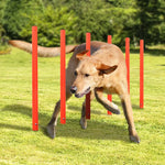 Outdoor Dog Obstacle Training Set Pet Agility Equipment Jumping Set Dog Training Accessories Dog Obstacle Course Pet