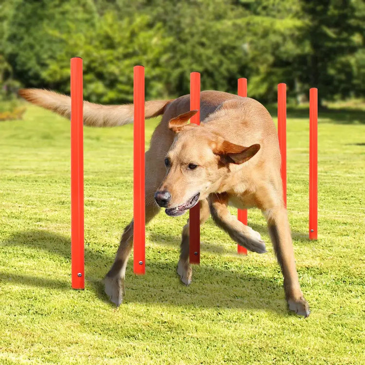 Outdoor Dog Obstacle Training Set Pet Agility Equipment Jumping Set Dog Training Accessories Dog Obstacle Course Pet