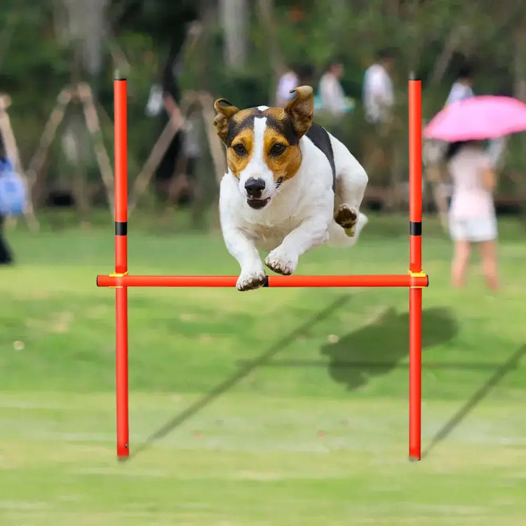 Outdoor Dog Obstacle Training Set Pet Agility Equipment Jumping Set Dog Training Accessories Dog Obstacle Course Pet
