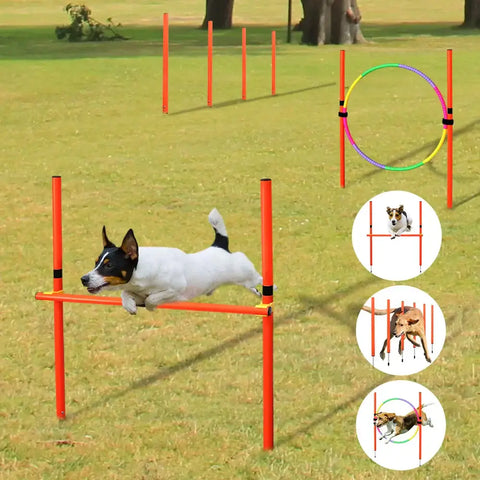 Outdoor Dog Obstacle Training Set Pet Agility Equipment Jumping Set Dog Training Accessories Dog Obstacle Course Pet