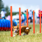 Outdoor Dog Obstacle Training Set Pet Agility Equipment Jumping Set Dog Training Accessories Dog Obstacle Course Pet
