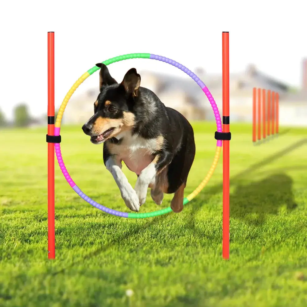 Outdoor Dog Obstacle Training Set Pet Agility Equipment Jumping Set Dog Training Accessories Dog Obstacle Course Pet