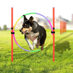 Outdoor Dog Obstacle Training Set Pet Agility Equipment Jumping Set Dog Training Accessories Dog Obstacle Course Pet