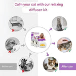 Pet cat anti stress electric heating liquid cat soothing and soothing pheromone electric heating liquid cat toilet