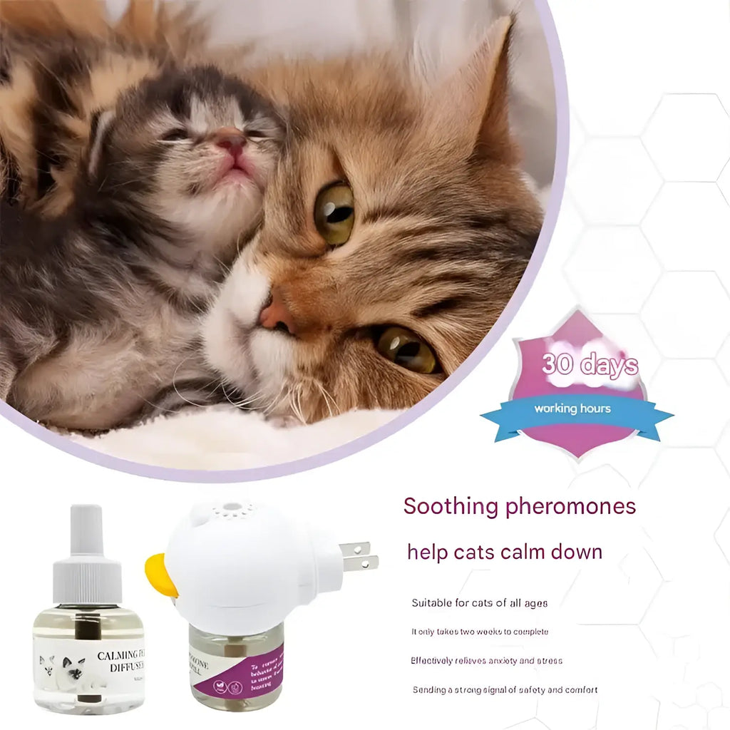 Pet cat anti stress electric heating liquid cat soothing and soothing pheromone electric heating liquid cat toilet