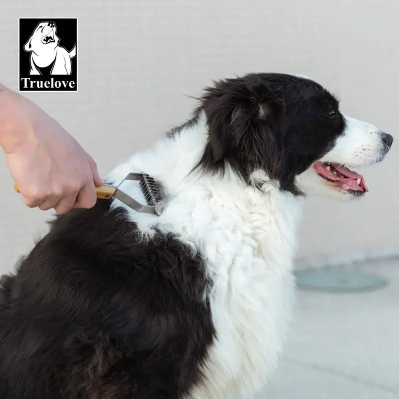 Peigne pour animaux Truelove
