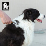 Peigne pour animaux Truelove