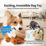 Peluche interactive pour chien