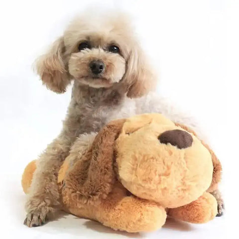 Peluche pour chien avec simulateur de battements de cœur