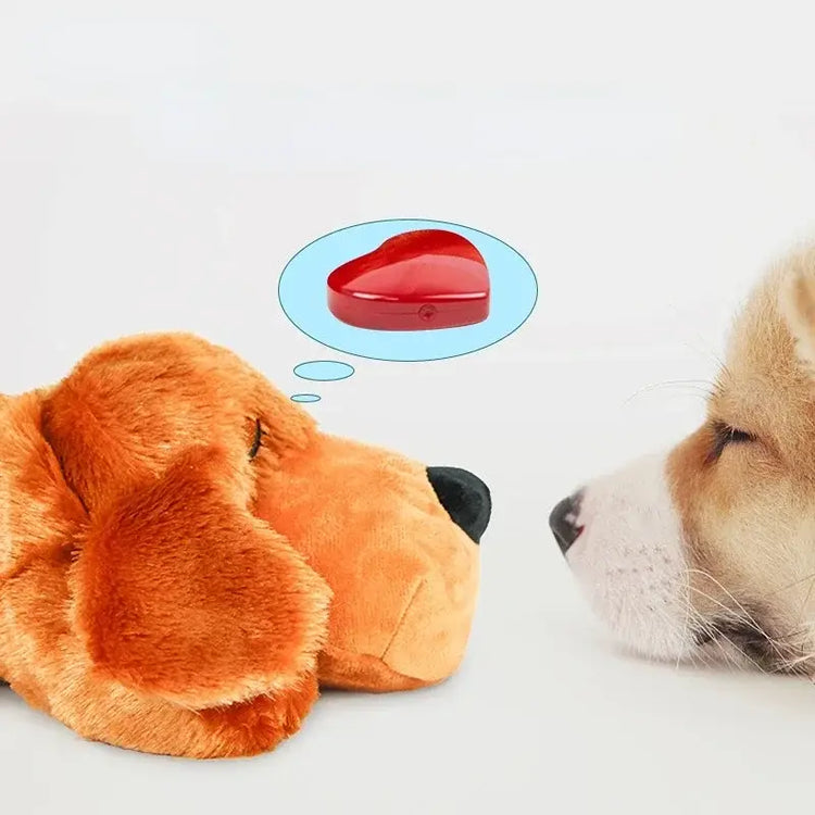 Peluche pour chien d’entraînement