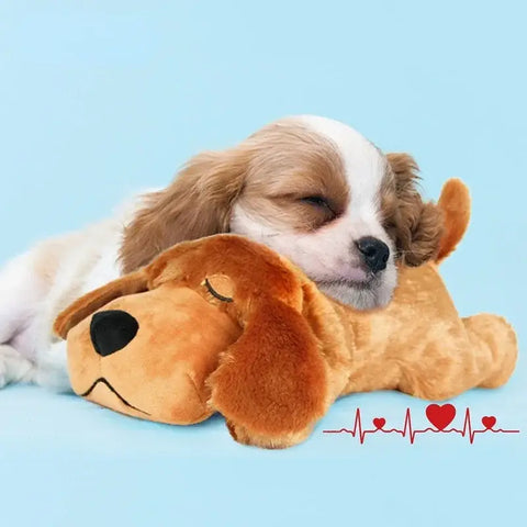 Peluche pour chien d’entraînement