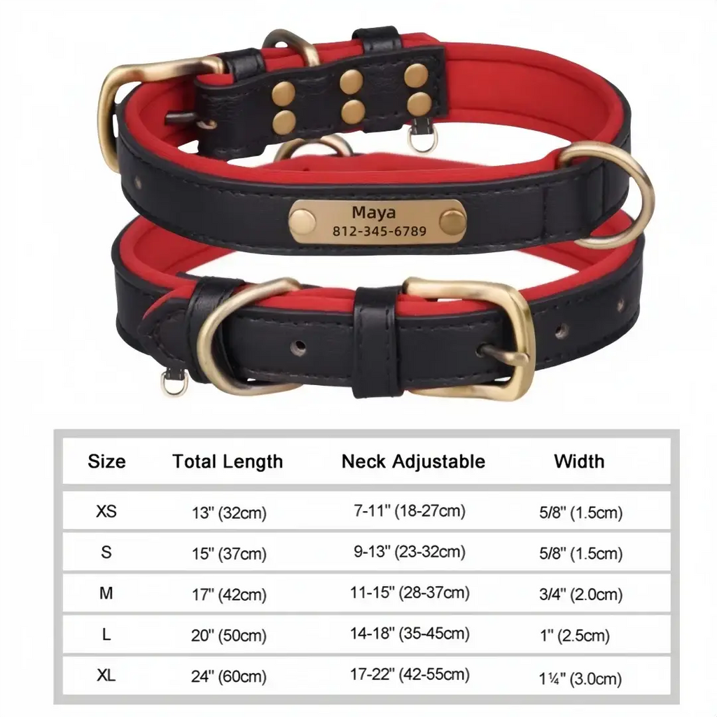 Personalized Custom Dog Collar - Black / L