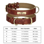 Personalized Custom Dog Collar - Brown / L