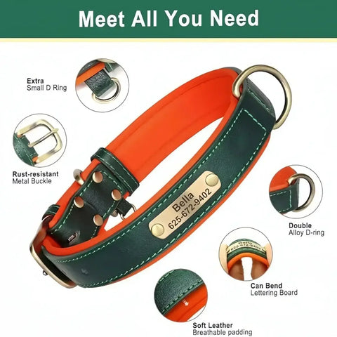 Collier chien personnalisé unique – PawFrance Premium