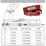 Personalized Custom Dog Collar