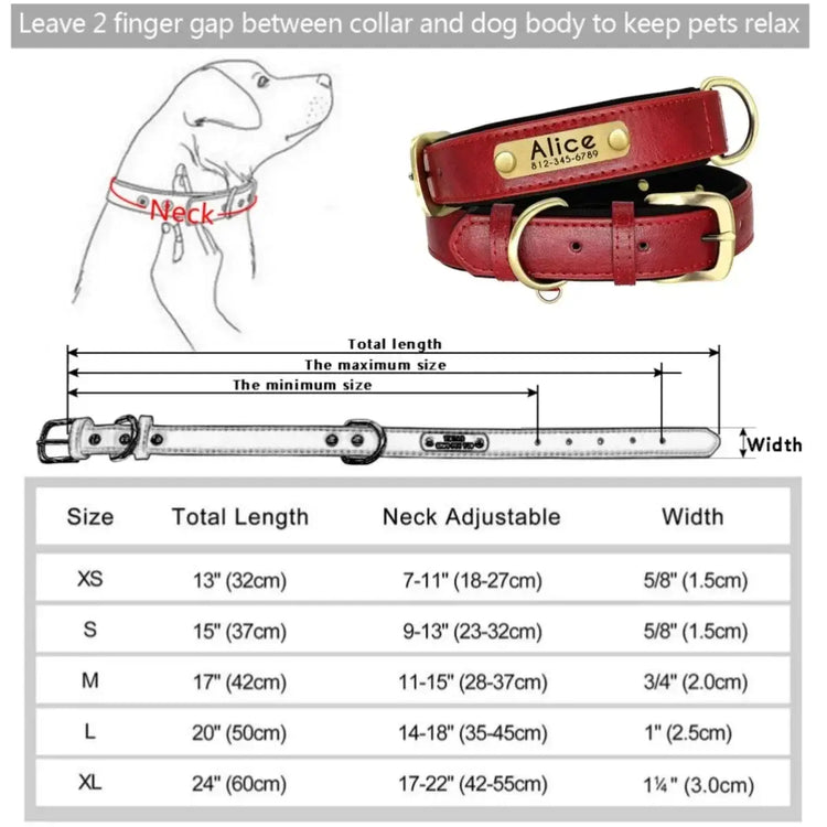 Personalized Custom Dog Collar