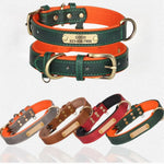 Collier chien personnalisé unique – PawFrance Premium