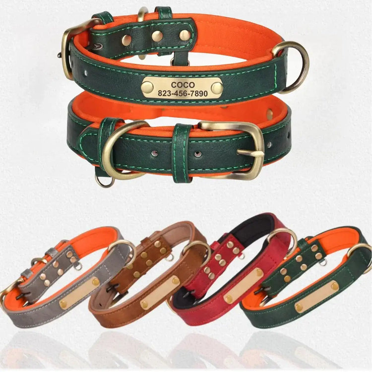 Collier chien personnalisé unique – PawFrance Premium