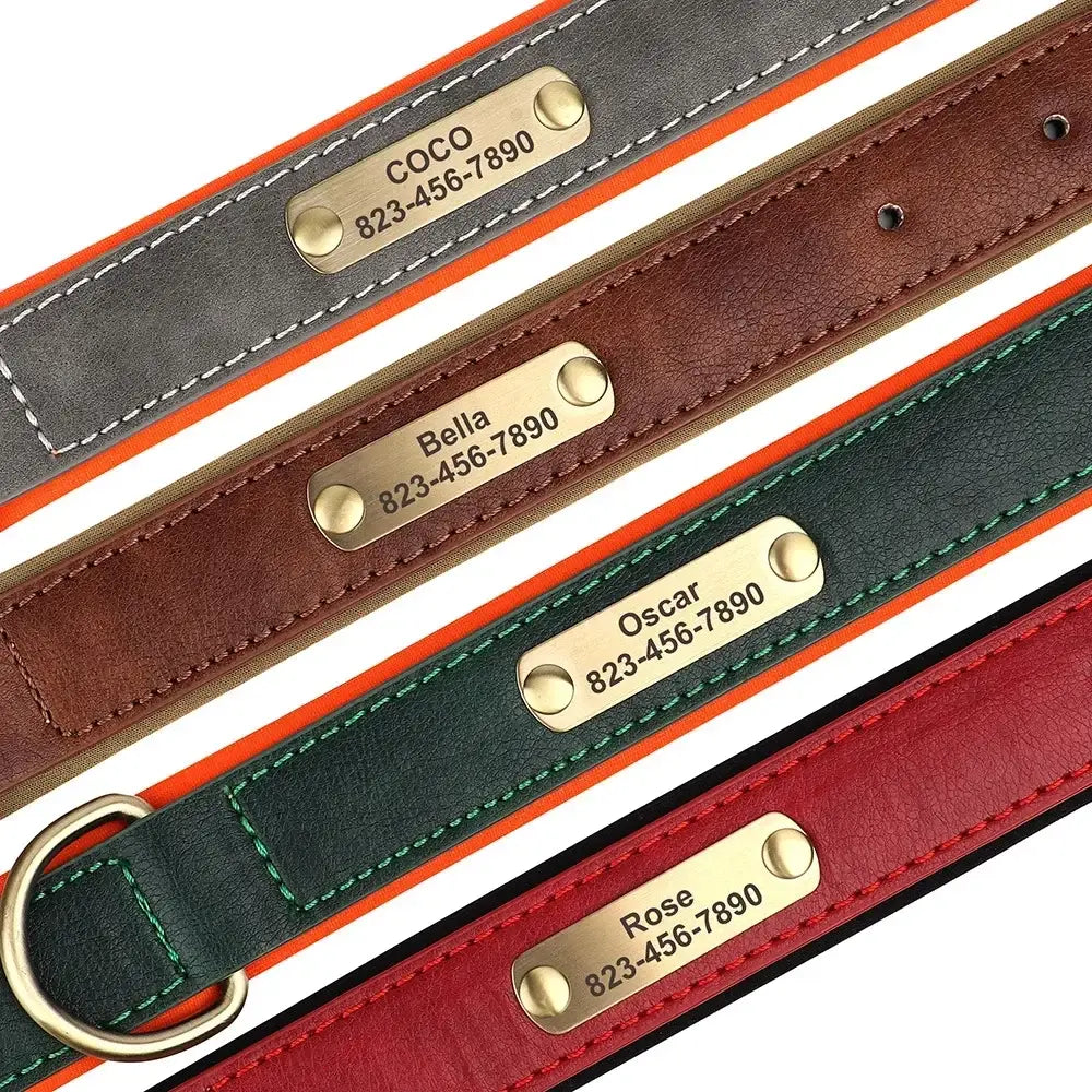 Personalized Custom Dog Collar