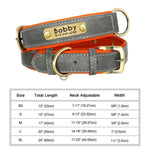 Personalized Custom Dog Collar - Gray / M