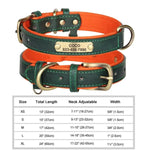 Personalized Custom Dog Collar - Green / XL