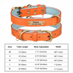 Personalized Custom Dog Collar - Orange / M