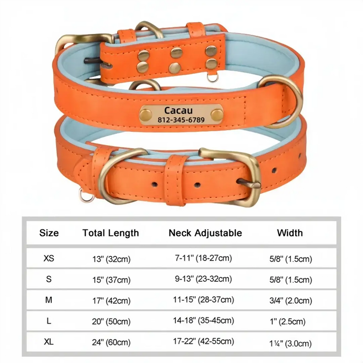 Personalized Custom Dog Collar - Orange / M