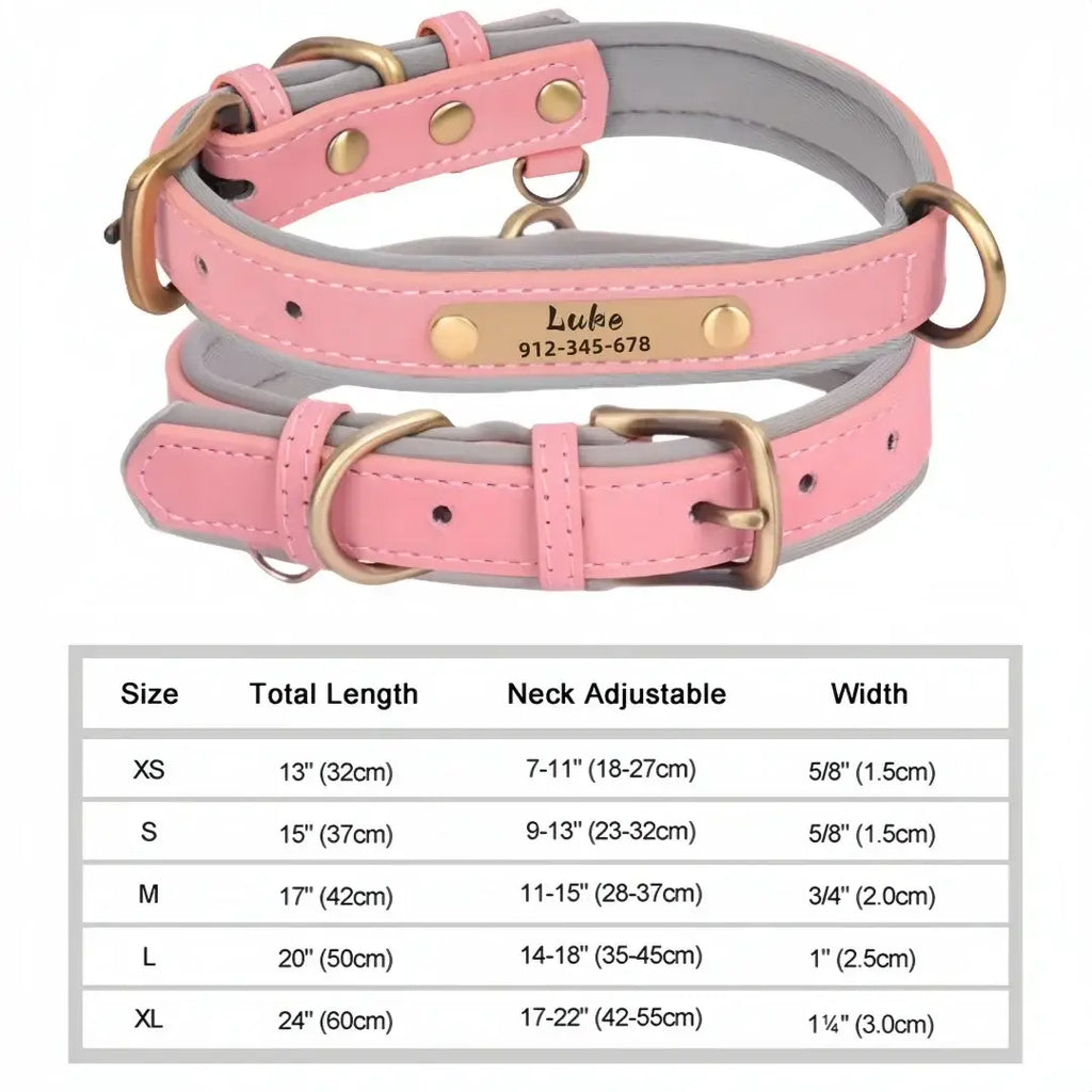 Personalized Custom Dog Collar - Pink / XL